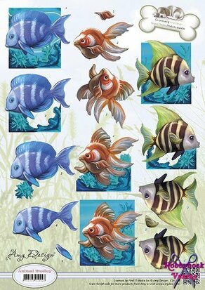 3D Knipvel - Amy Design - Animal Medley - Tropical Fish