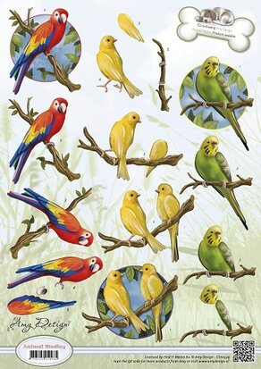 3D Knipvel - Amy Design - Animal Medley - Tropical Parrots
