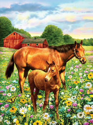Painting by numbers - HORSE IN FIELD