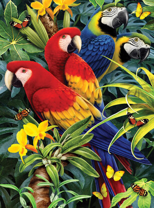 Painting by numbers - MAJESTIC MACAWS