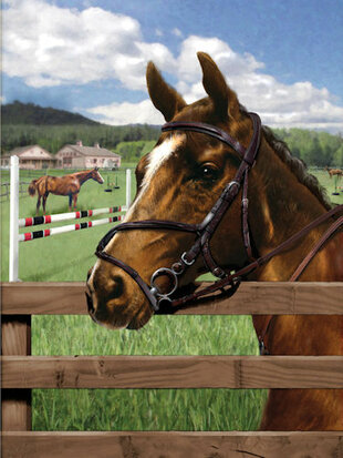 Painting by numbers - EQUINE PADDOCK