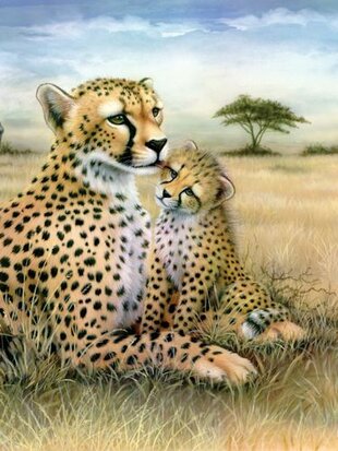 Painting by numbers - LEOPARD