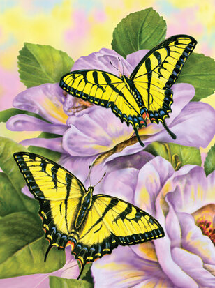 Painting by numbers - SWALLOWTAIL BUTTERFL