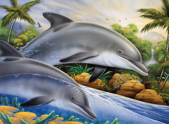 Painting by numbers - DOLPHIN ISLAND