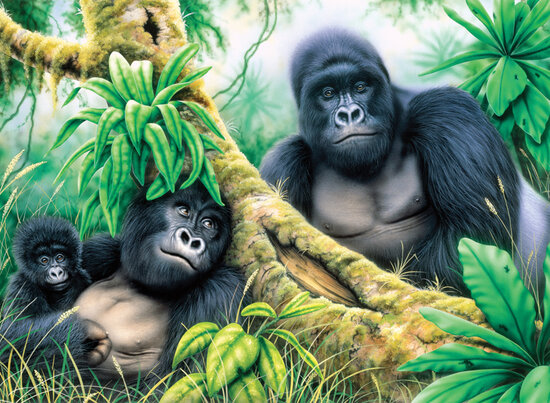 Painting by numbers - MOUNTAIN GORILLAS