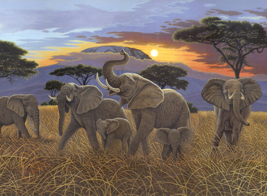 Painting by numbers - SUNSET ON KILIMANJAR