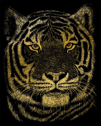 GOLD ENGRAVING BENGAL TIGER - 25,5 cm x 20,5 cm