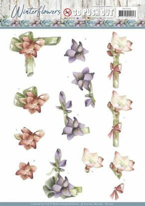 3D Pushout - Precious Marieke - Winter Flowers - Amaryllis