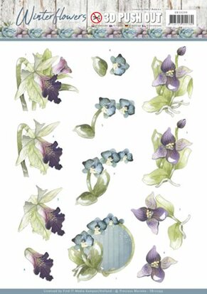 3D Pushout - Precious Marieke - Winter Flowers - Orchids